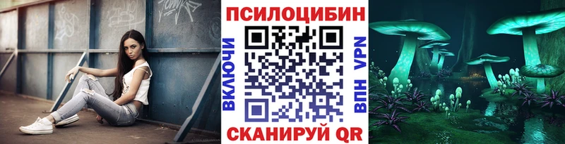 Псилоцибиновые грибы Cubensis  Лесной 